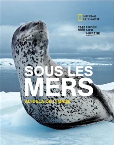 Sous les mers : au-delà de l'image